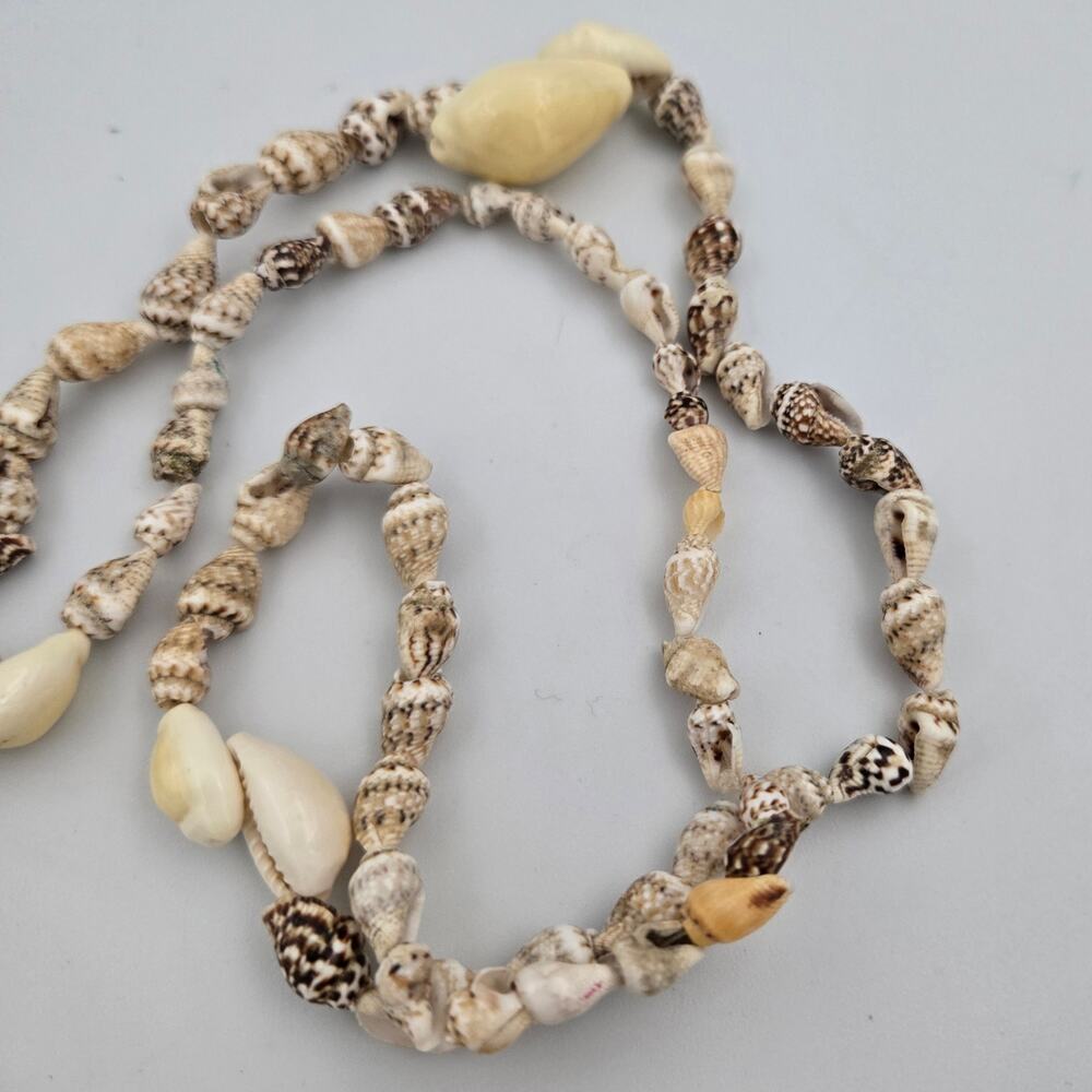 Conch Cowrie Ocean Seashell Necklace Approx 16 Inches - Picture 3 of 5